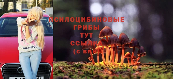 прущие крисы Абаза