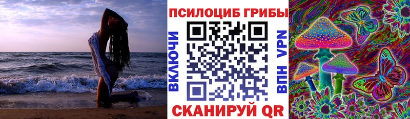 Галлюциногенные грибы Magic Shrooms  мега маркетплейс  Каменка  цены наркотик 