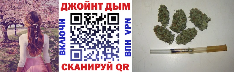 Бошки Шишки SATIVA & INDICA  цена наркотик  Каменка 